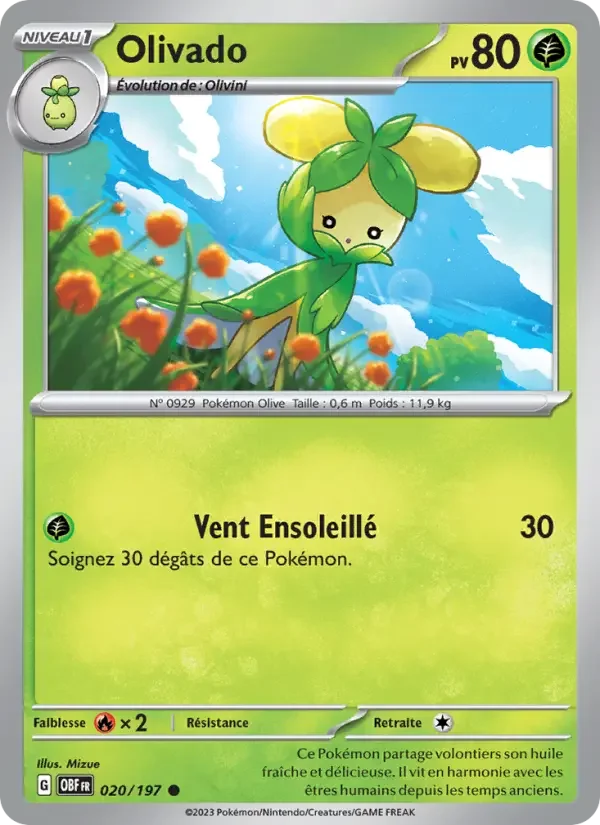 Carte Pokémon Olivado — Flammes Obsidiennes