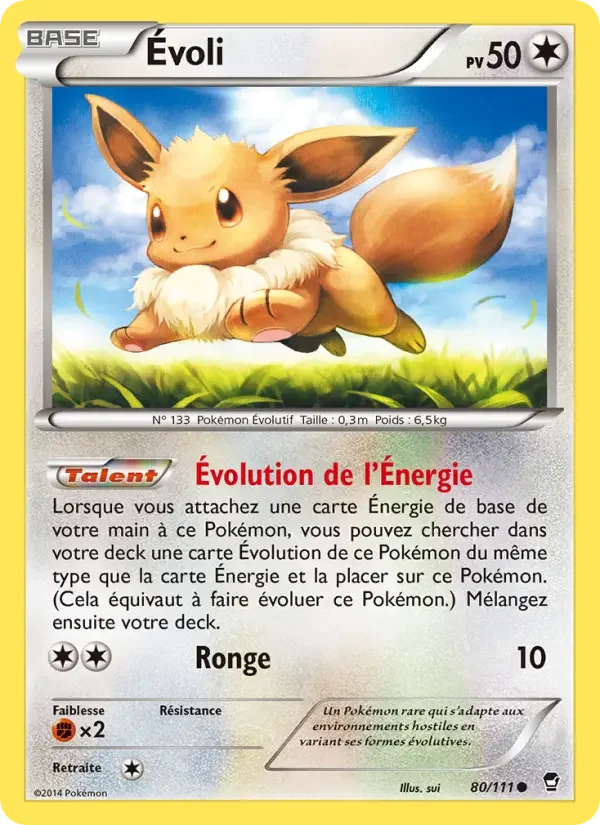 Carte Pokémon Évoli — Poings Furieux