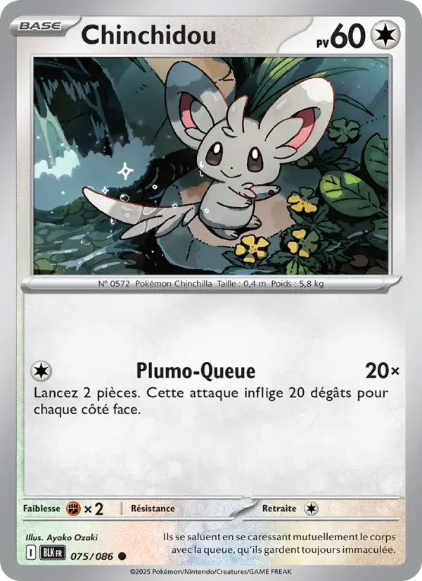Carte Chinchidou
