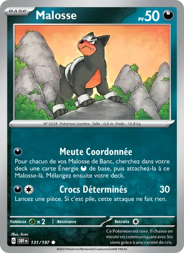 Carte Pokémon Malosse — Flammes Obsidiennes