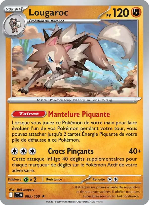 Carte Pokémon Lougaroc — Aventures Ensemble