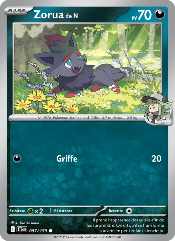 Carte Zorua de N