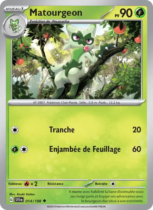 Carte Matourgeon
