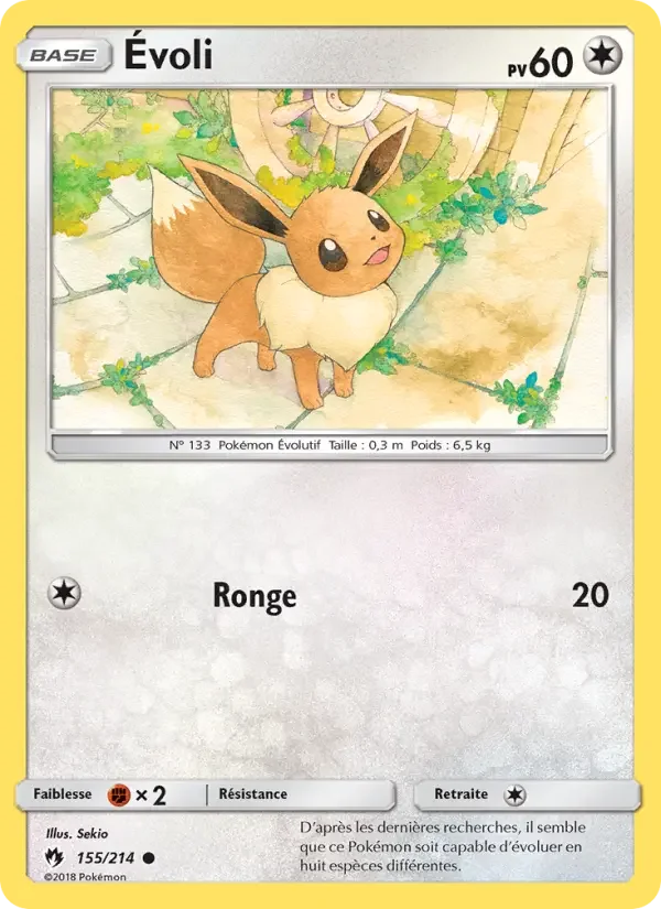 Carte Évoli