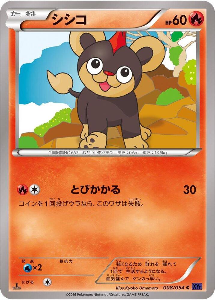 Carte 레오꼬