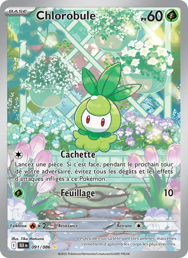 Carte Chlorobule