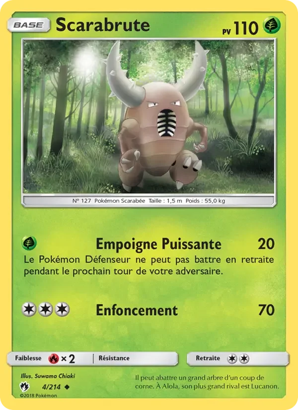 Carte Scarabrute