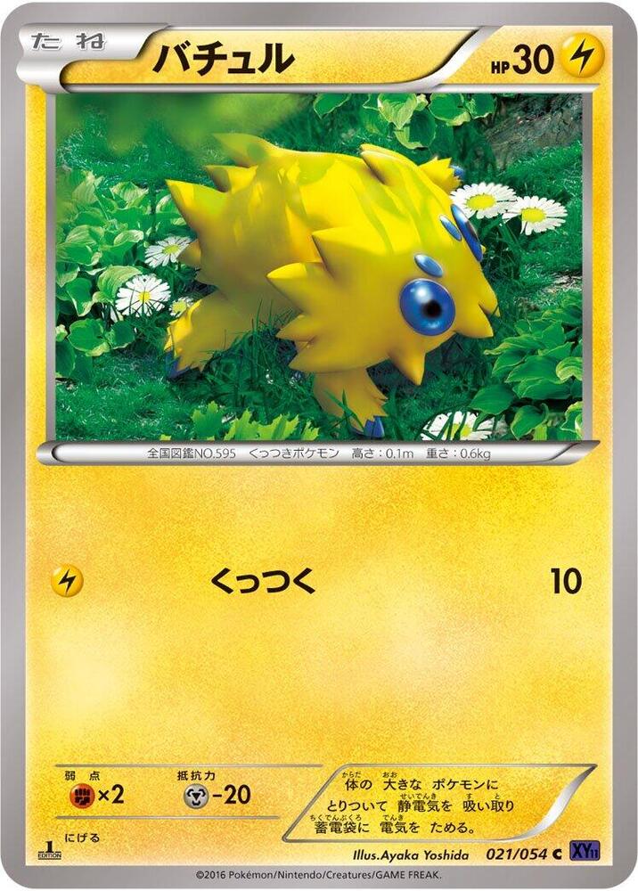 Carte 파쪼옥