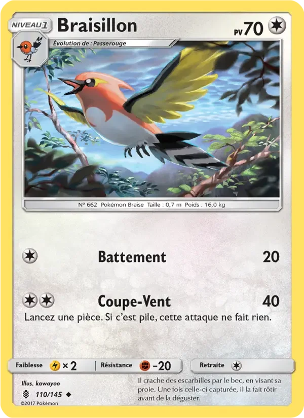 Carte Braisillon