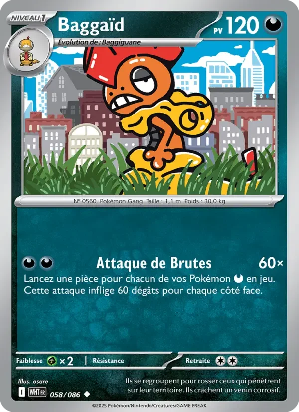 Carte Baggaïd