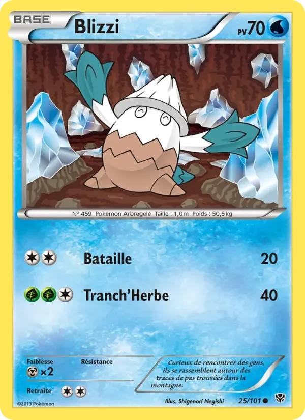 Carte Blizzi