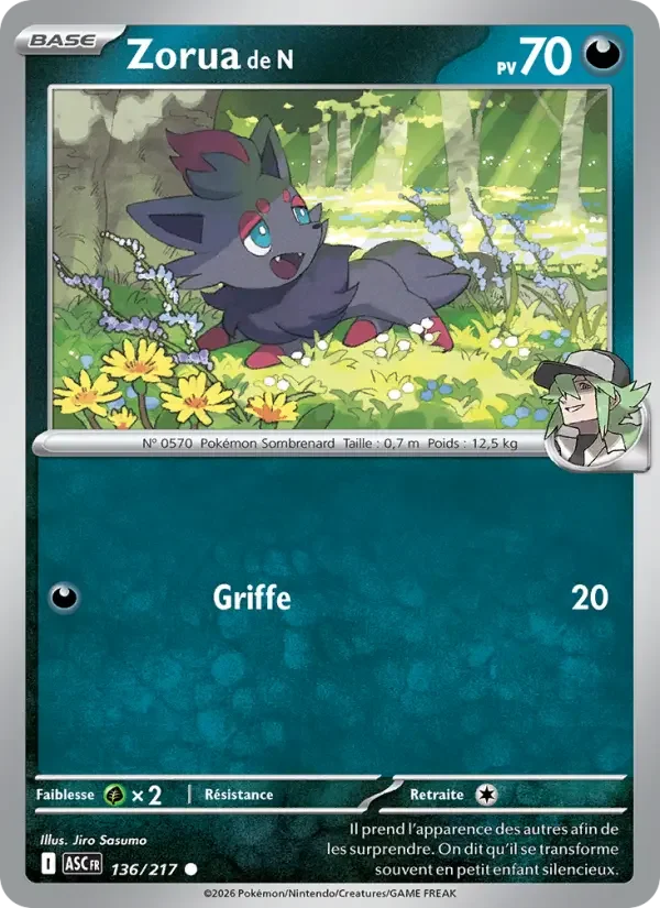 Carte Zorua de N