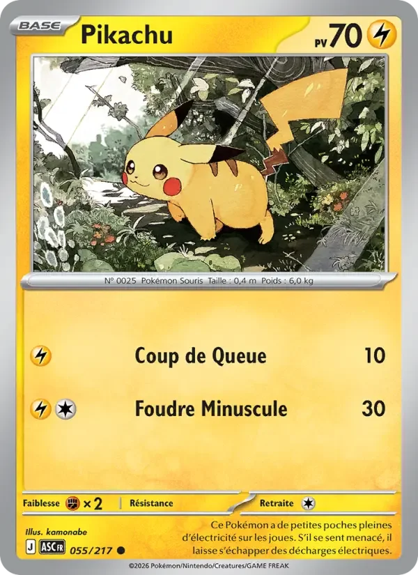 Carte Pokémon Pikachu — Héros Transcendants