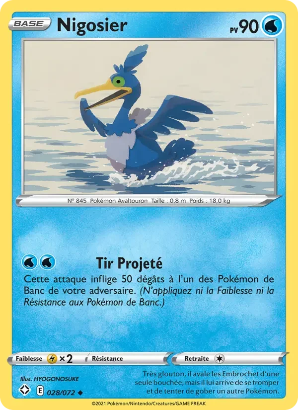 Carte Nigosier