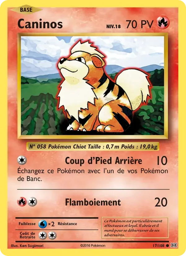 Carte Caninos