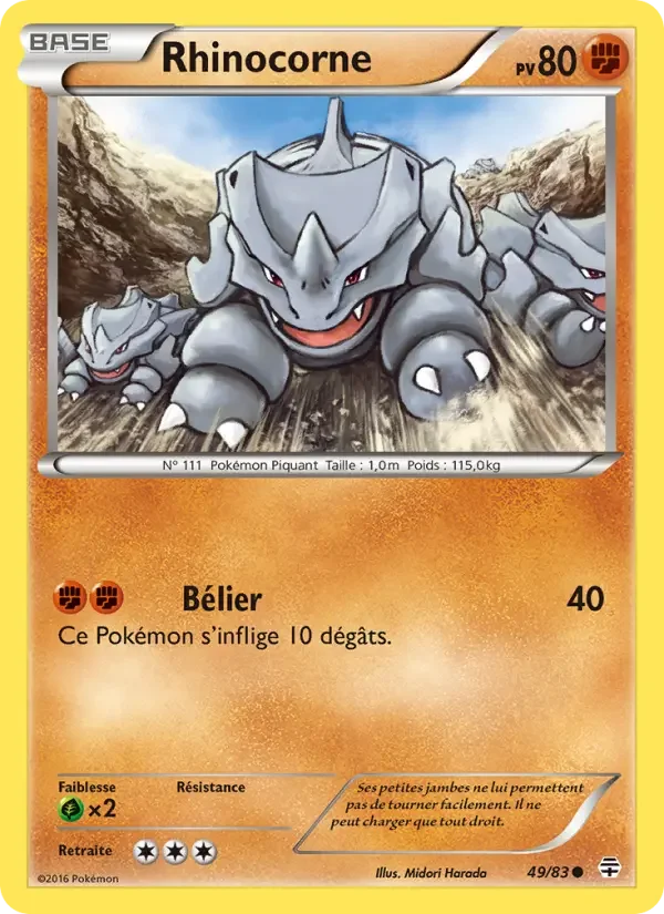 Carte Rhinocorne