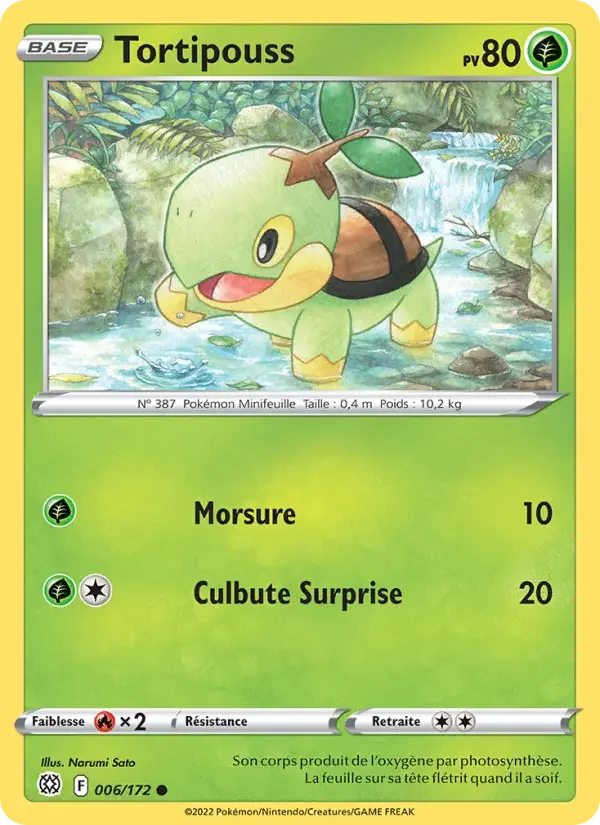 Carte Tortipouss