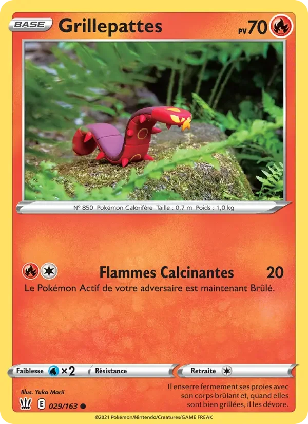 Carte Grillepattes