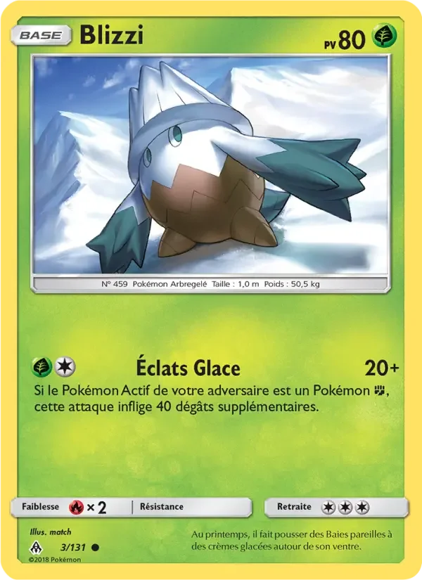 Carte Blizzi