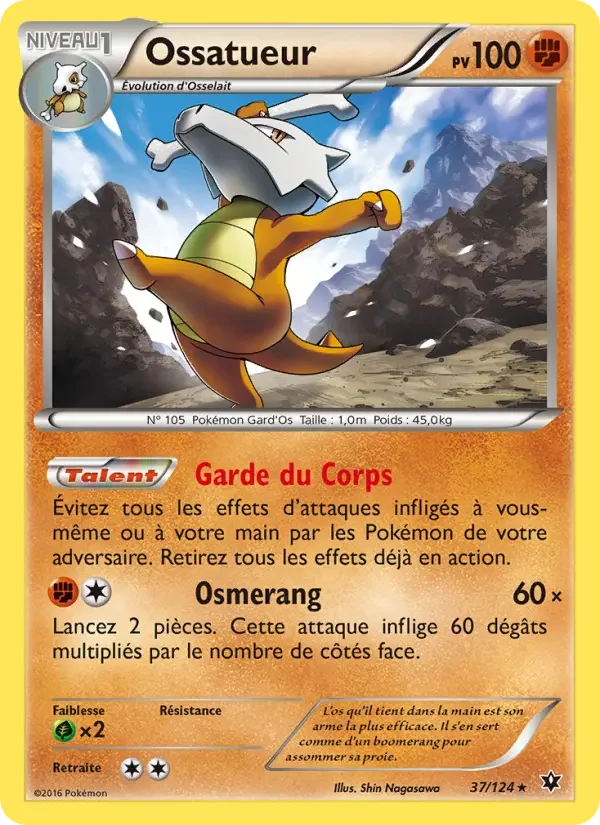 Carte Ossatueur