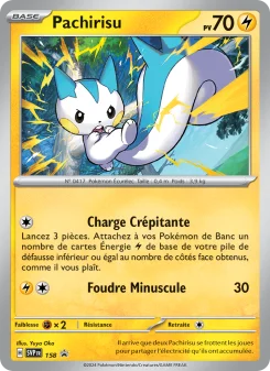 Carte Pachirisu