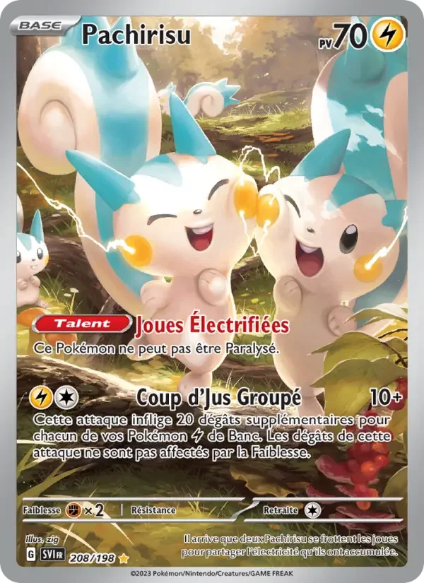 Carte Pachirisu