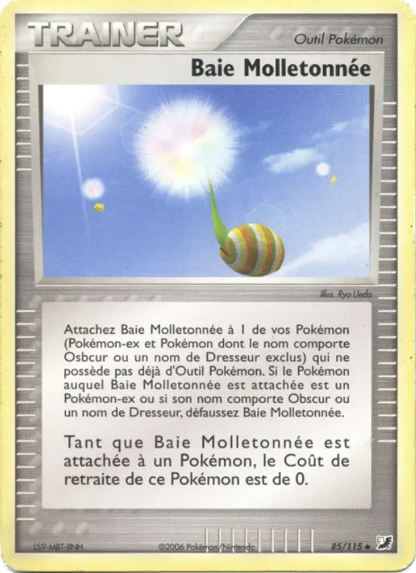 Carte Baie Molletonnée