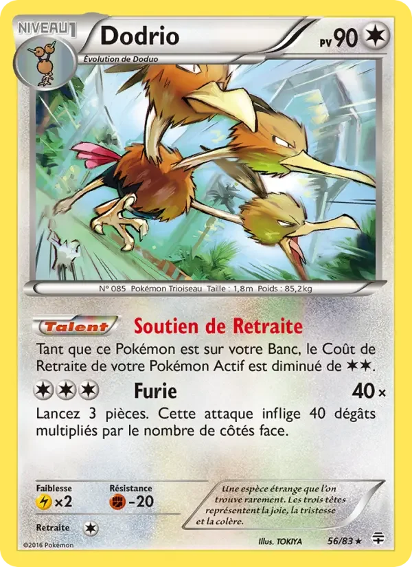 Carte Dodrio