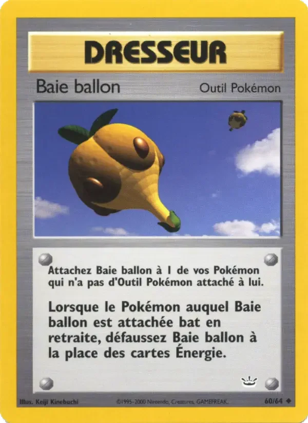 Carte Baie ballon