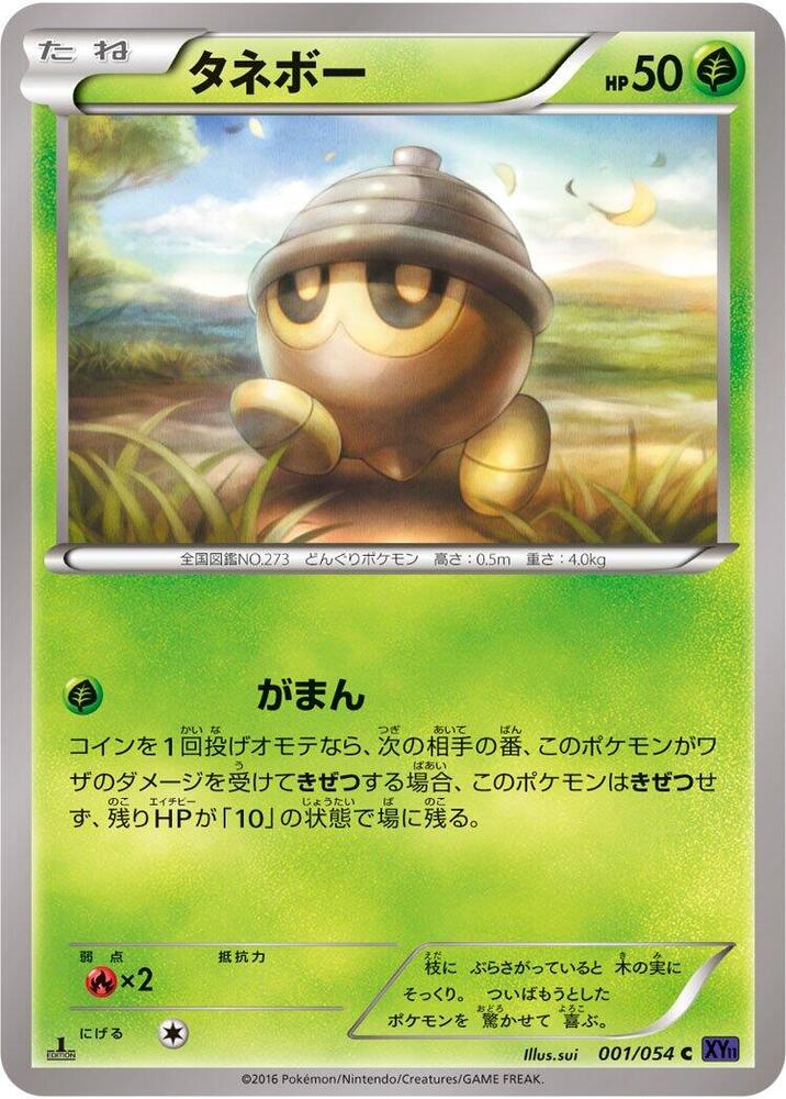 Carte 도토링