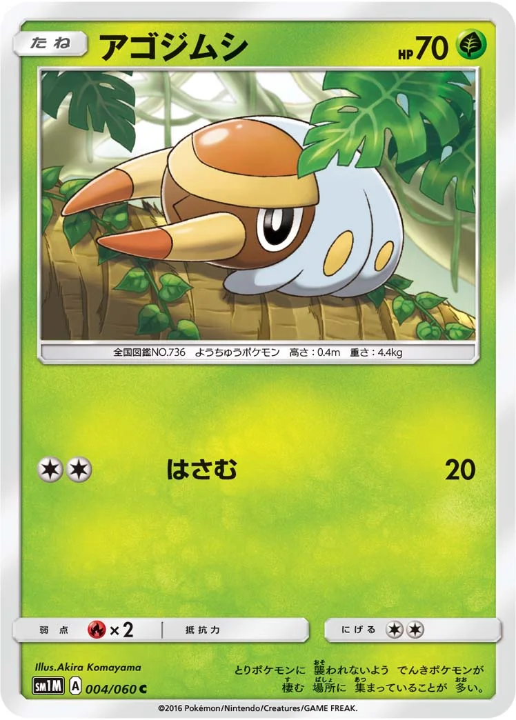 Carte Larvibule