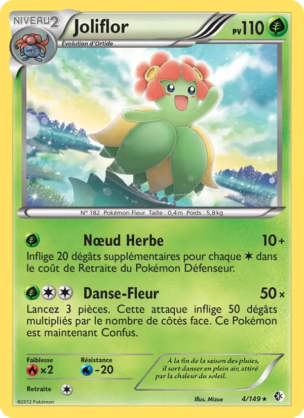 Carte Joliflor