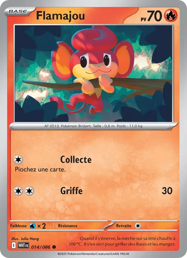 Carte Flamajou