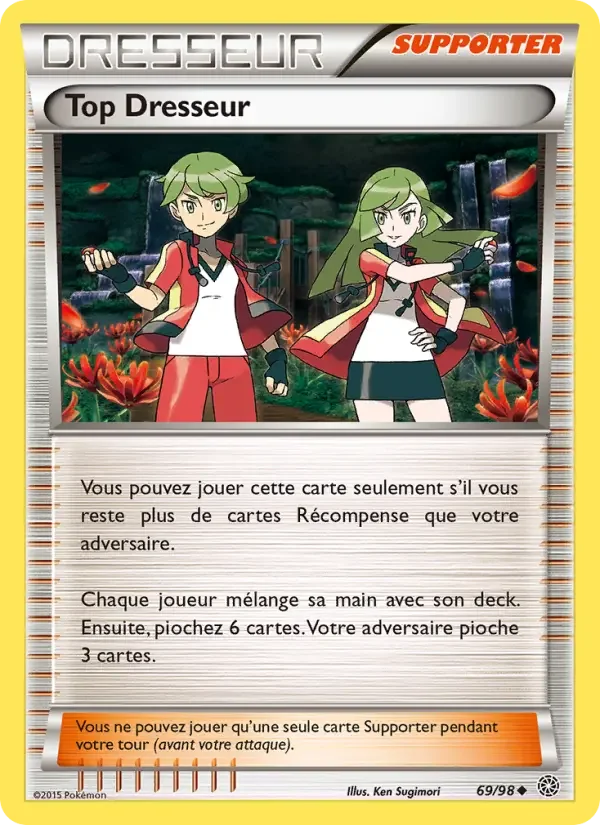 Carte Top Dresseur