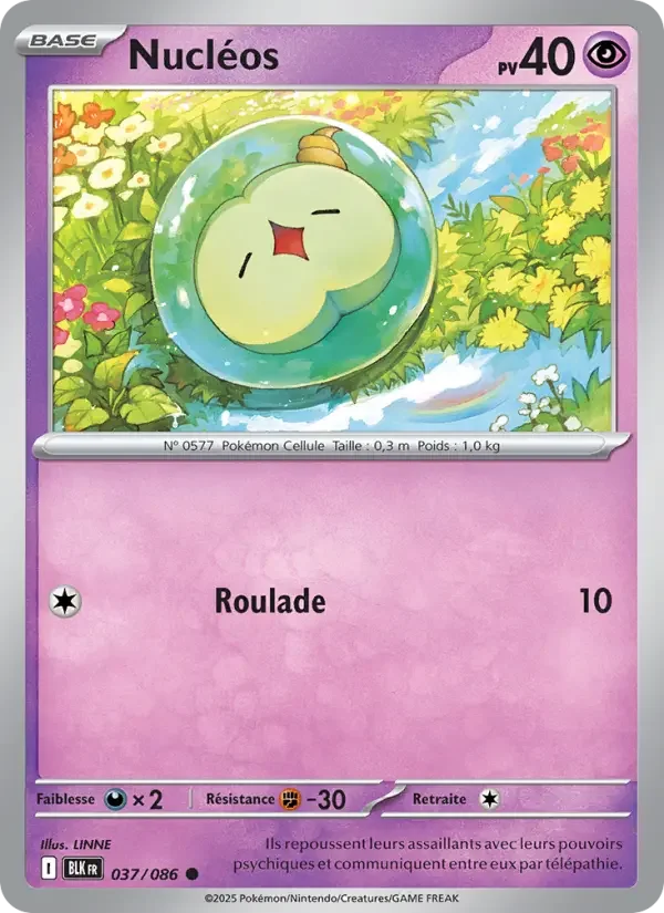 Carte Nucléos