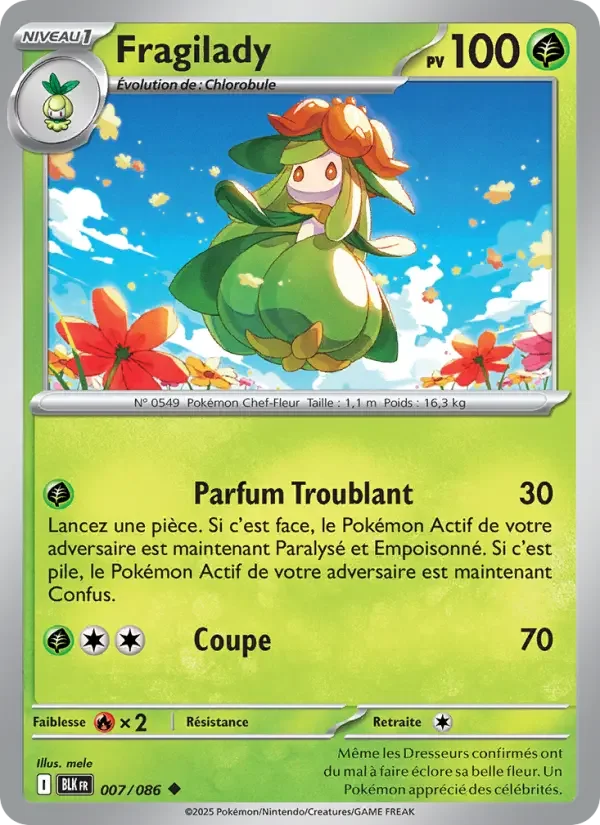 Carte Fragilady