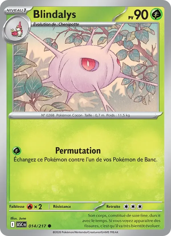 Carte Pokémon Blindalys — Héros Transcendants