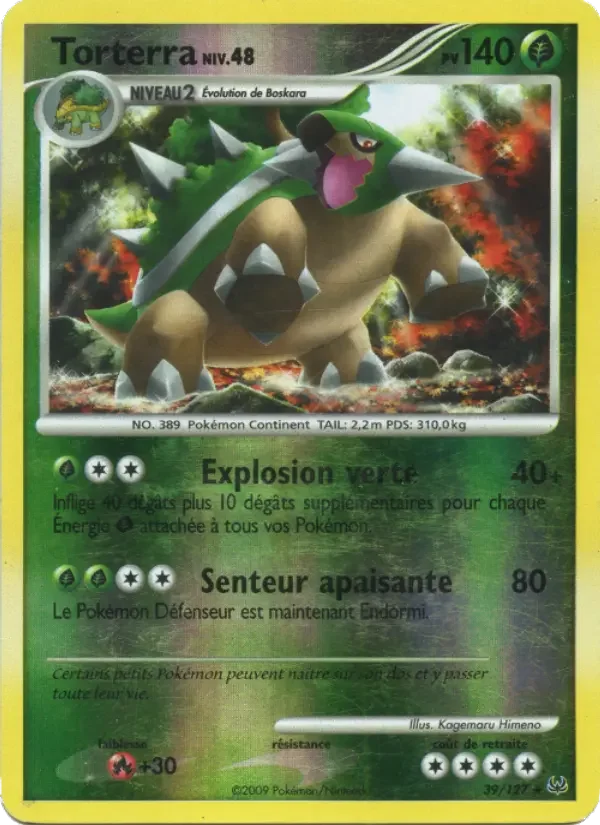 Carte Torterra