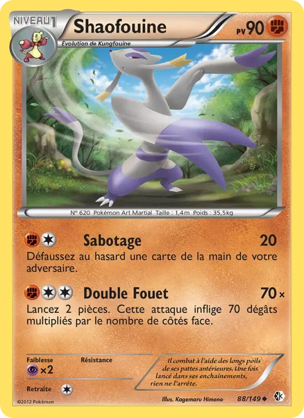 Carte Pokémon Shaofouine — Frontières Franchies