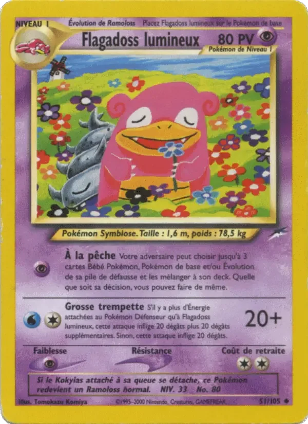 Carte Flagadoss lumineux