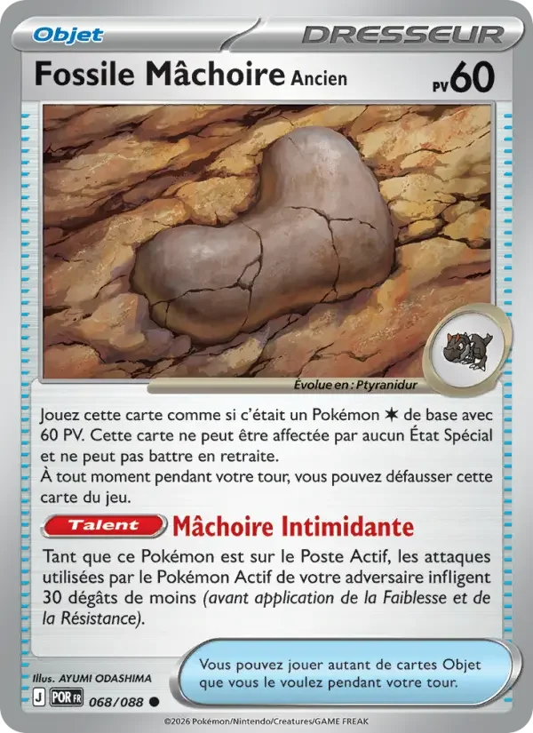 Carte Fossile Mâchoire Ancien