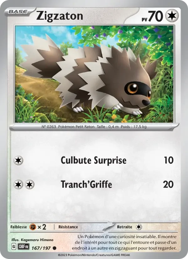 Carte Zigzaton