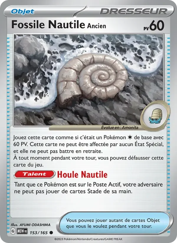 Carte Fossile Nautile Ancien