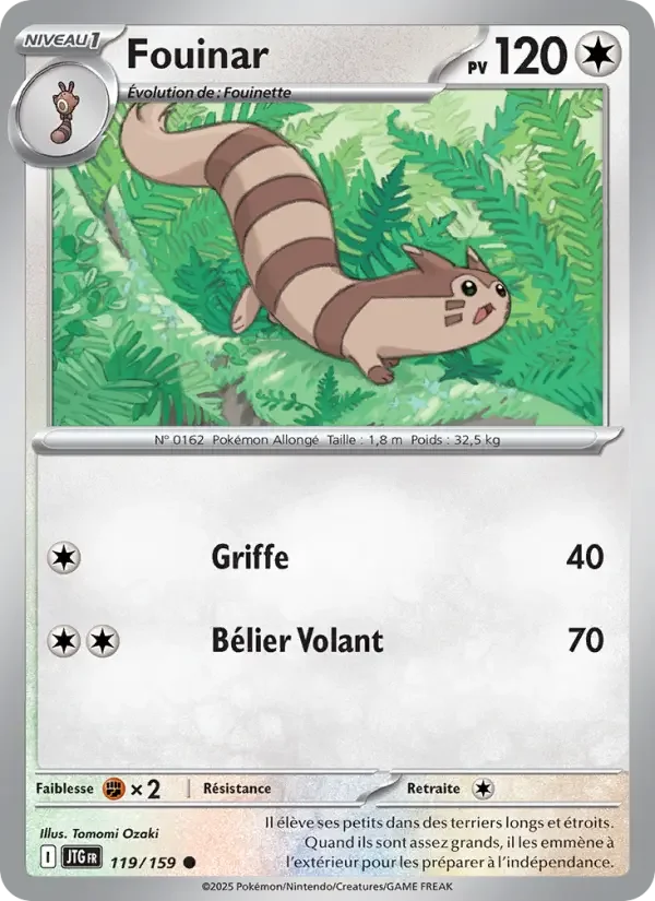 Carte Pokémon Fouinar — Aventures Ensemble
