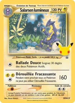 Carte Salarsen lumineux