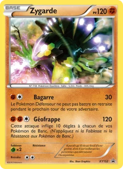 Carte Pokémon Zygarde — Promos X&Y