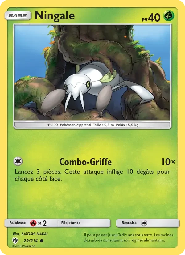 Carte Ningale