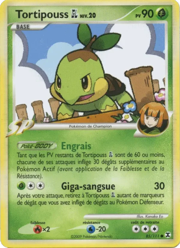 Carte Pokémon Tortipouss Niv. 20 — Rivaux Émergeants