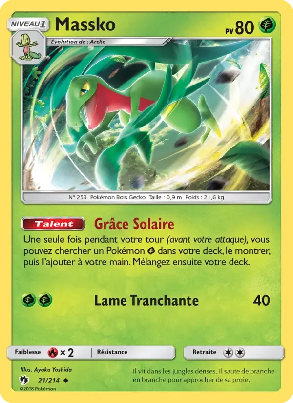 Carte Massko