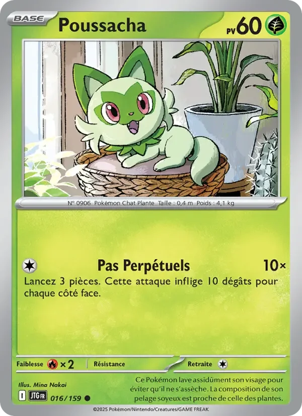 Carte Pokémon Poussacha — Aventures Ensemble